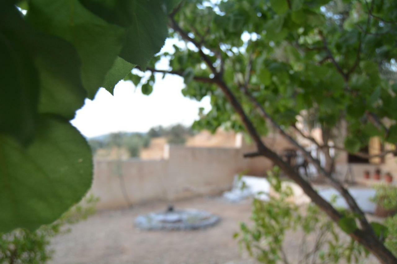 Our Villa'S Private Apartments - Hq Budget Stay - Wonderful Horizon View Of Jerash Jarash Exteriör bild